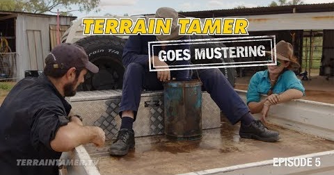 Terrain Tamer Goes Mustering | Episode 5
